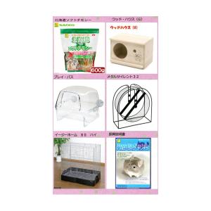 三晃商会 はじめてのチンチラ飼育セット 飼育説...の詳細画像1