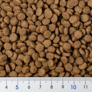 R.D.B ハーリーの主食 500g ハリネズ...の詳細画像1