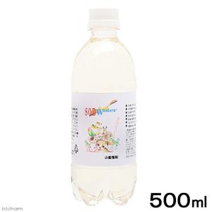 アペックス　ＳＯＤウォーター　５００ｍｌ