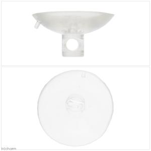 ハムスター用 ペットニード 給水器タイニ80c...の詳細画像1