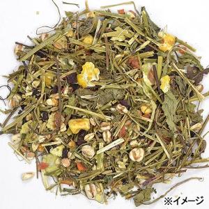 三晃商会 デリ・スタイル ミックスブレンド 1...の詳細画像1