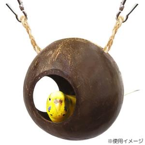 レインボー ゆらゆらココナッツ 小動物 ハウスの詳細画像1