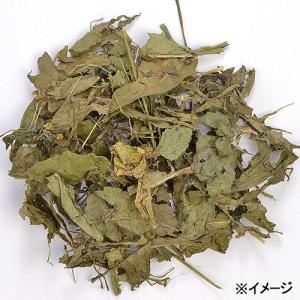 三晃商会 デリ・スタイル タンポポ&セージ 3...の詳細画像1