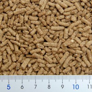 三晃商会 フクロモモンガフード 300g×3の詳細画像1