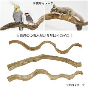 三晃商会 スパイラル・パーチ L45 鳥 止まり木の詳細画像1