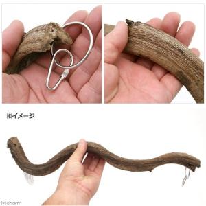 三晃商会 スパイラル・パーチ L45 鳥 止まり木の詳細画像2