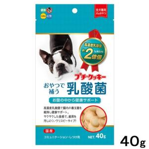 ハイペット プチ クッキー 乳酸菌 40g