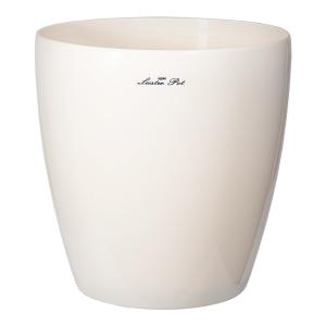 いちご苗ビックハニー３寸70個セット　専用出品！ いちご苗ビックハニー3寸70個セット 専用出品！ いちご苗ビックハニー3