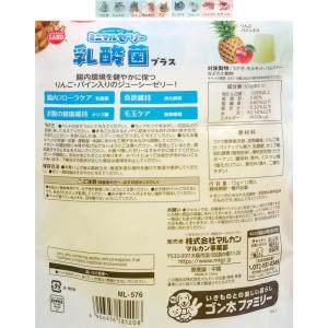 マルカン ミニマルゼリー 乳酸菌プラス 15g...の詳細画像2