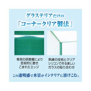 GEX ガラス水槽 グラステリア FL200 ...の詳細画像2