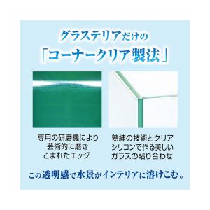 GEX グラステリアFL300 ガラス水槽 3...の詳細画像2
