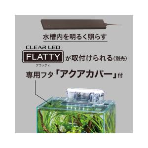 GEX グラステリアFL300 ガラス水槽 3...の詳細画像3