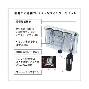 GEX ガラス水槽 グラステリア600スリム ...の詳細画像4