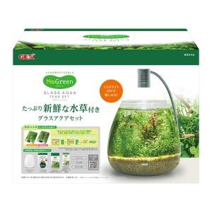ＧＥＸ　水槽セット　ＭｅＧｒｅｅｎ　新鮮な水草付き　グラスティアーセット　小型水槽｜chanet