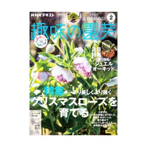 ＮＨＫ趣味の園芸　２０２４年２月号　特集　より美しくより強くクリスマスローズを育てる　ジュエルオーキッド