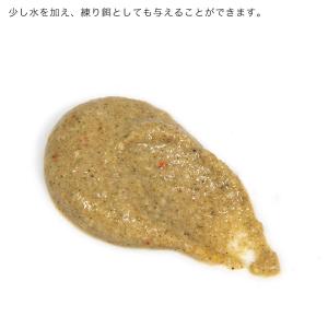 レパシー スーパーフード スーパーロード 6о...の詳細画像3
