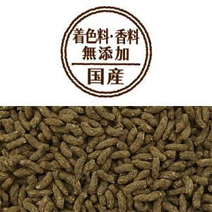 日本ペットフード 良質素材モルモット オールス...の詳細画像3