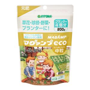 ハイポネックス マグァンプeco 中粒 200gの商品画像