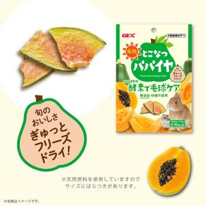 GEX 完熟 とこなつパパイヤ 5g おやつ ...の詳細画像3