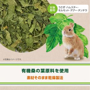 GEX ヘルシーレシピ 桑の葉ぱりむしゃ 10...の詳細画像3