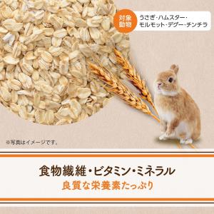 GEX ヘルシーレシピ オートミール 150g...の詳細画像3