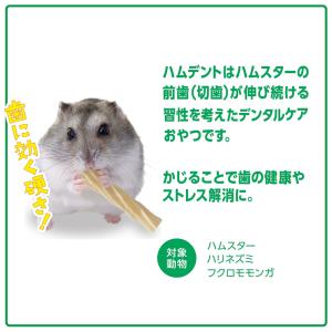 GEX ハムデント チーズ 12g デンタルケ...の詳細画像4