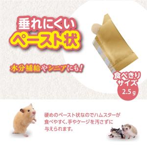 GEX ハムテイン ぺろっとチキン 2.5g×...の詳細画像3