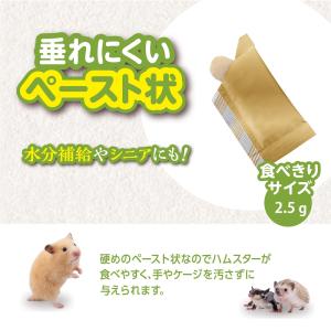 GEX ハムテイン ぺろっと豆乳 2.5g×1...の詳細画像3