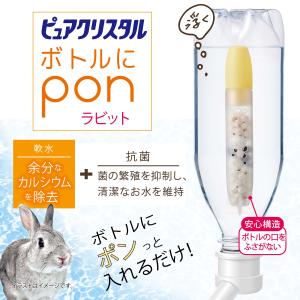 GEX ピュアクリスタル ボトルにPON ラビ...の詳細画像5