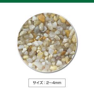 GEX MeGreen 水草を育てる砂 2kg...の詳細画像2