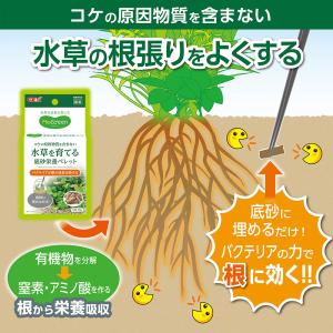 GEX MeGreen 水草を育てる底砂栄養ペ...の詳細画像2