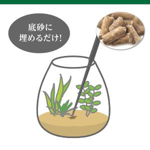 GEX MeGreen 水草を育てる底砂栄養ペ...の詳細画像3