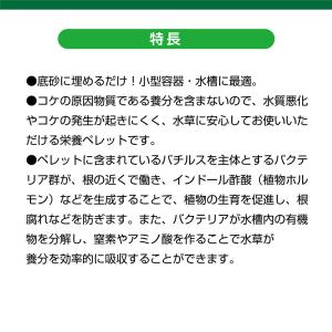 GEX MeGreen 水草を育てる底砂栄養ペ...の詳細画像4