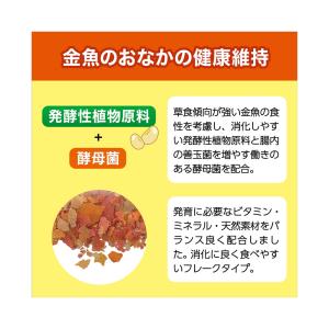 GEX 金魚元気 水キレイフレーク 165gの詳細画像4