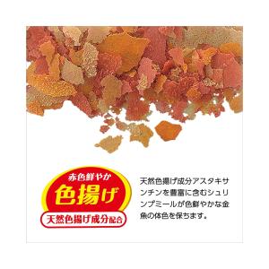GEX 金魚元気 水キレイフレーク 165gの詳細画像5
