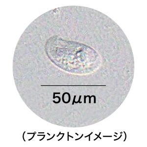 GEX メダカ元気 生きたプランクトンフード ...の詳細画像1