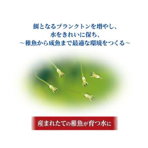 GEX メダカ元気 育てるPSBウォーター 1...の詳細画像2