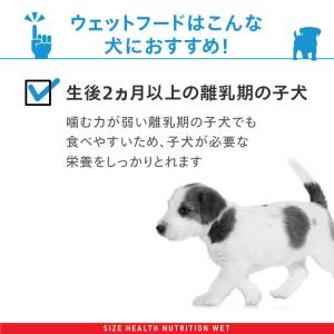 【送料無料】ロイヤルカナン 生後10カ月齢まで...の詳細画像5