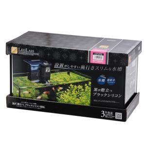 育てよカメ S.murakami on X: 