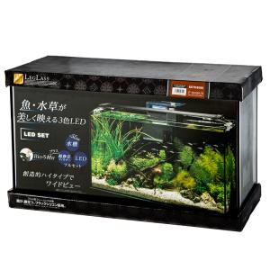 コトブキ工芸　水槽セット　レグラス　Ｆ−６００ＳＨ／Ｂ　ＬＥＤセットＺ４０　６０ｃｍ水槽｜chanet