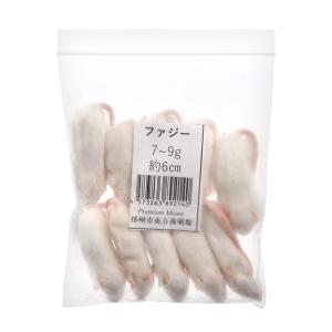 冷凍★ＳＰＦマウス　ファジーマウス（１０匹）（約６ｃｍ・７〜９ｇ）　冷凍マウス　高品質　別途クール手数料　常温商品同梱不可｜chanet