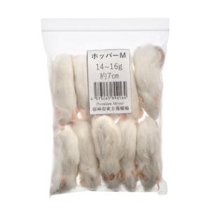 冷凍★ＳＰＦマウス　ホッパーＭマウス（１０匹）（約７ｃｍ・１４〜１６ｇ）　冷凍マウス　高品質　別途クール手数料　常温商品同梱不可｜chanet