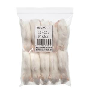 冷凍☆フタホシML 100g 月夜野ファーム 冷凍コオロギ 国産 別途