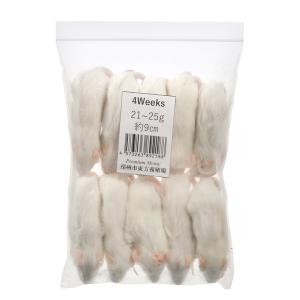 冷凍☆フタホシML 100g 月夜野ファーム 冷凍コオロギ 国産 別途