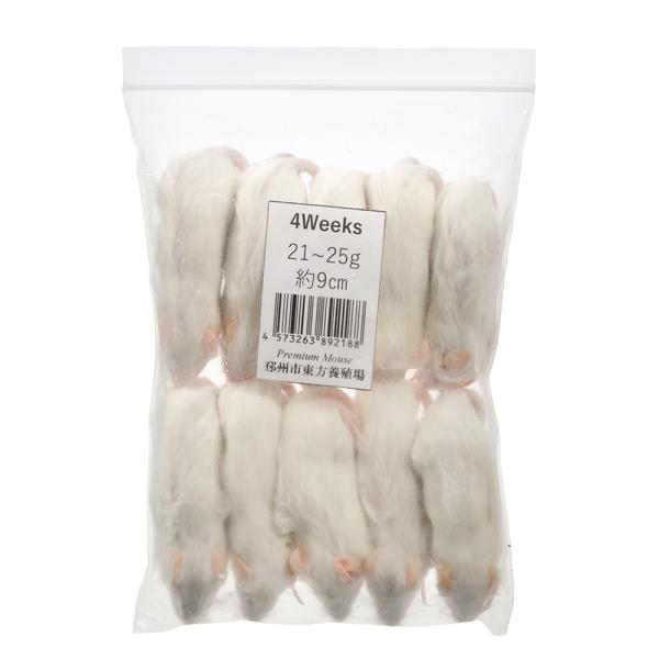 冷凍★ＳＰＦマウス　４Ｗｅｅｋｓマウス（１０匹）　（約９ｃｍ・２１〜２５ｇ）　冷凍マウス　高品質　別...