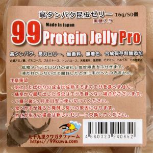 昆虫ゼリー 99プロテインゼリーPro(16g...の詳細画像2