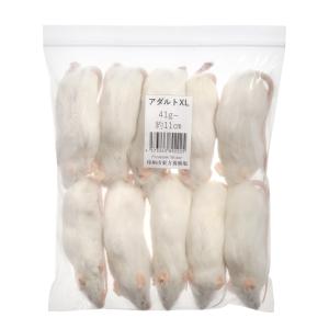 冷凍★SPFマウス アダルトマウスXL(10匹)...の商品画像