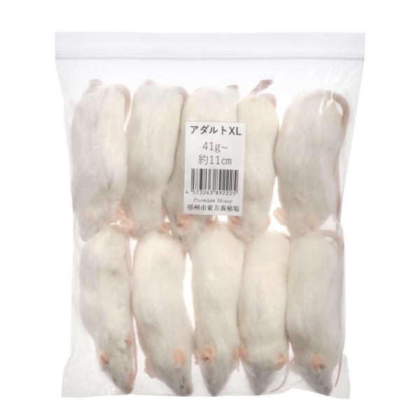 冷凍★ＳＰＦマウス　アダルトマウスＸＬ（１０匹）　（約１１ｃｍ・４１〜４５ｇ）　冷凍マウス　高品質　...