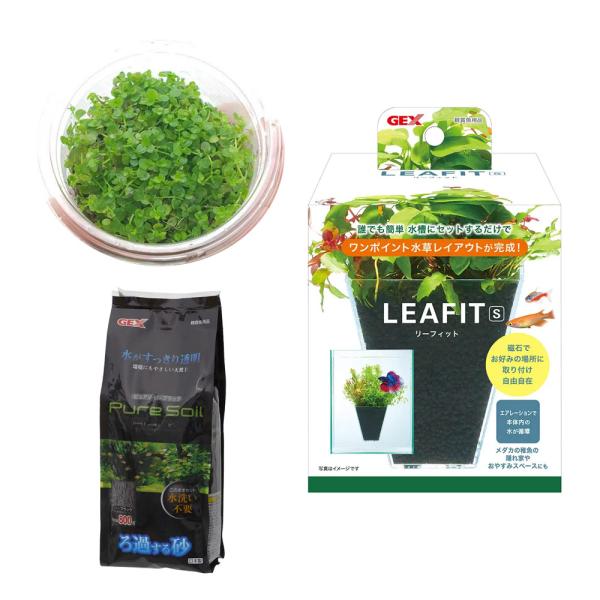 （水草）リーフィットＳで作る簡単水草レイアウト　ニューラージパールグラスＶｅｒ．本州四国限定