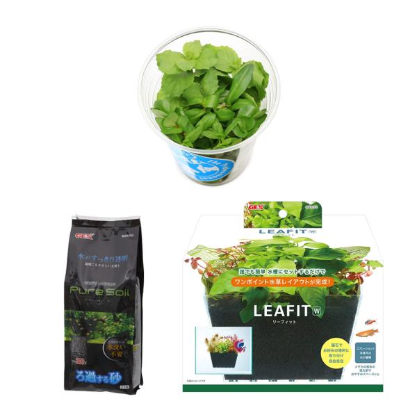 （水草）リーフィットＷで作る簡単水草レイアウト　イキイキカップ入り水草　〜ＭＩＸＰＬＡＮＴＳ〜Ｖｅｒ...